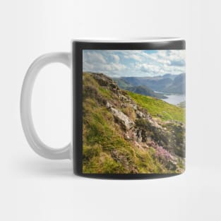 Summer on Low Fell Mug